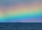 WhaleWatching 024
